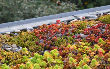 the cost of Stackpole Elidor Or Cheriton green roof installation