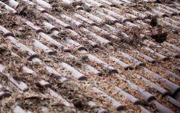 Stackpole Elidor Or Cheriton roof cleaning companies