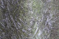 Stackpole Elidor Or Cheriton fibreglass roof work